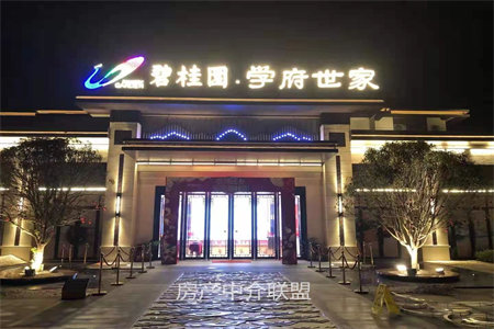 双排别墅独门独院约700平带200平院子有证可以按揭