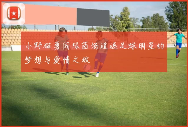 小野猫勇闯绿茵场追逐足球明星的梦想与爱情之旅