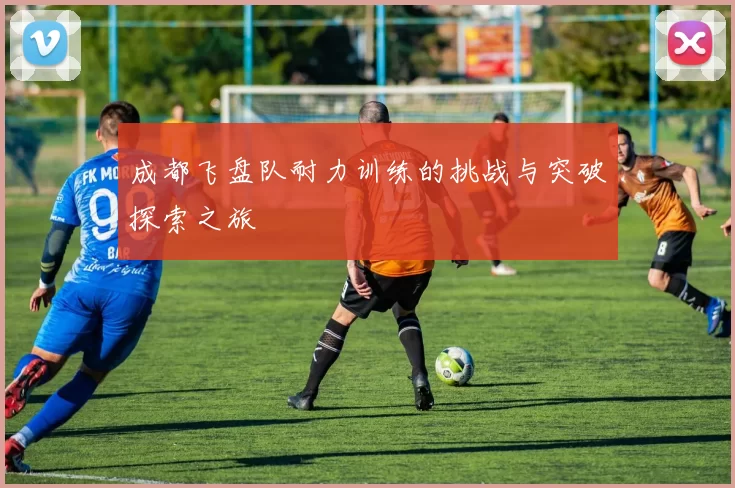 成都飞盘队耐力训练的挑战与突破探索之旅