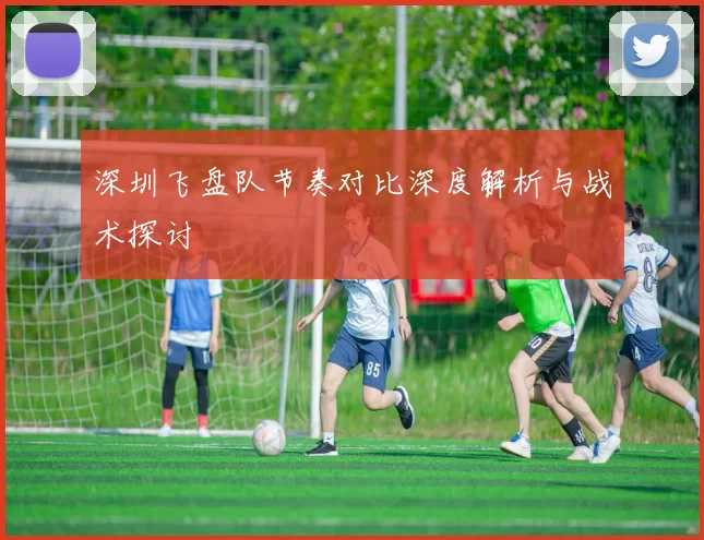 深圳飞盘队节奏对比深度解析与战术探讨