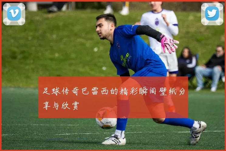 足球传奇巴雷西的精彩瞬间壁纸分享与欣赏
