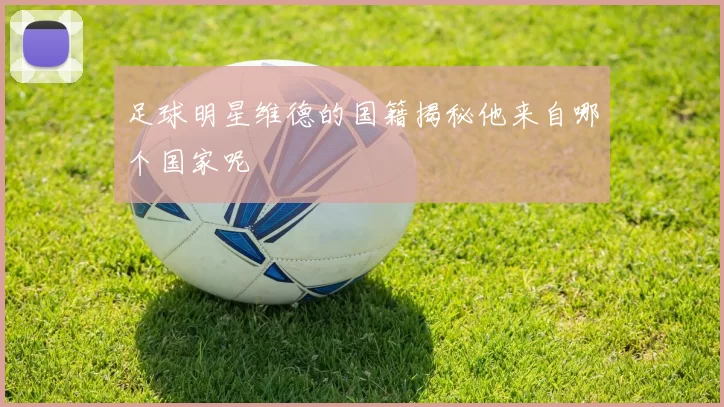 足球明星维德的国籍揭秘他来自哪个国家呢