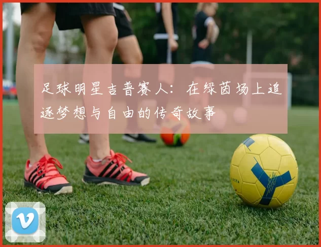 足球明星吉普赛人：在绿茵场上追逐梦想与自由的传奇故事