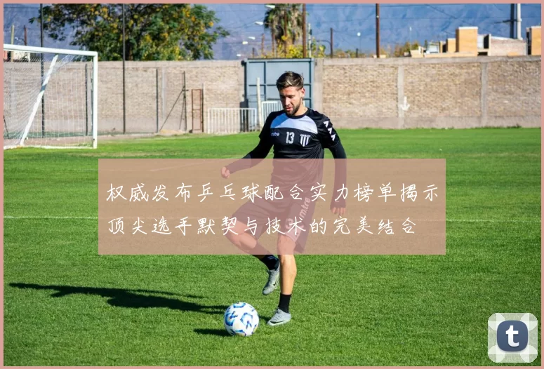 权威发布乒乓球配合实力榜单揭示顶尖选手默契与技术的完美结合