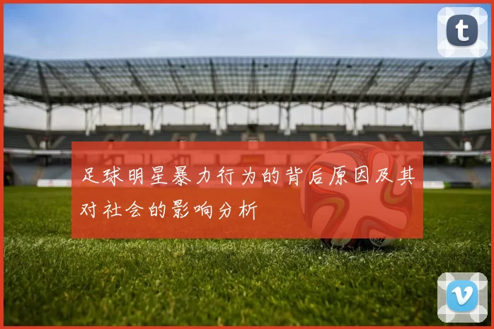 足球明星暴力行为的背后原因及其对社会的影响分析