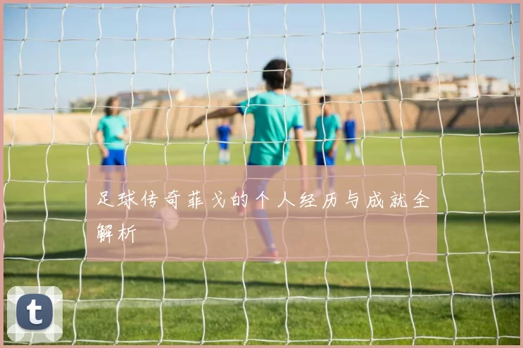 足球传奇菲戈的个人经历与成就全解析