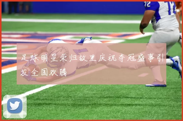 足球明星荣归故里庆祝夺冠盛事引发全国欢腾