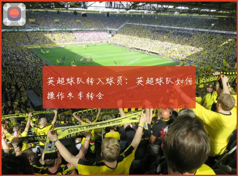 英超球队转入球员：英超球队如何操作冬季转会