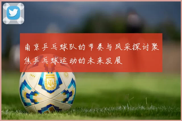 南京乒乓球队的节奏与风采探讨聚焦乒乓球运动的未来发展