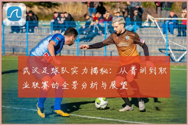 武汉足球队实力揭秘：从青训到职业联赛的全景分析与展望
