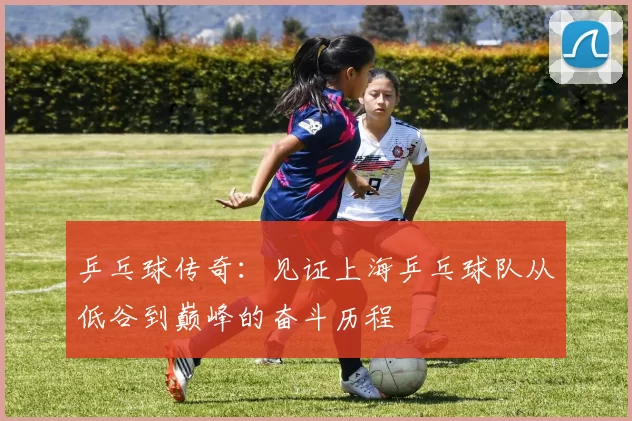 乒乓球传奇：见证上海乒乓球队从低谷到巅峰的奋斗历程