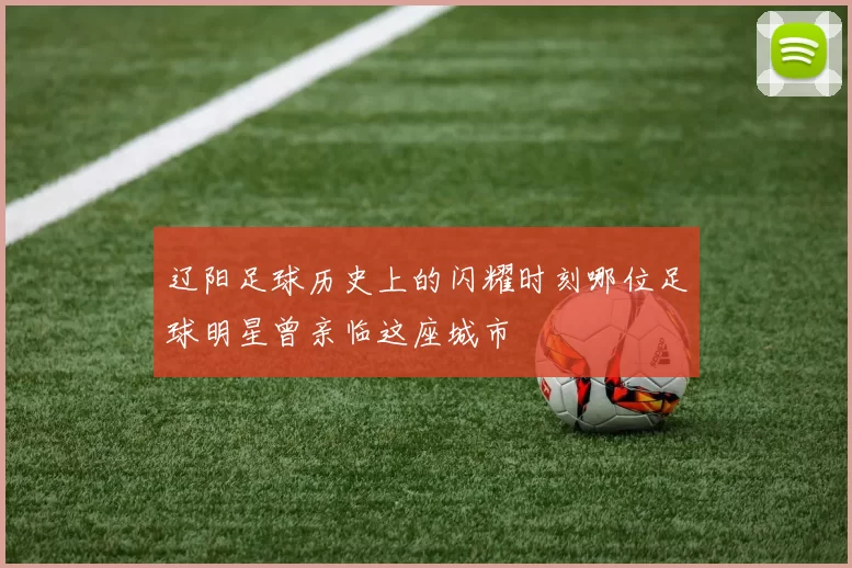 辽阳足球历史上的闪耀时刻哪位足球明星曾亲临这座城市