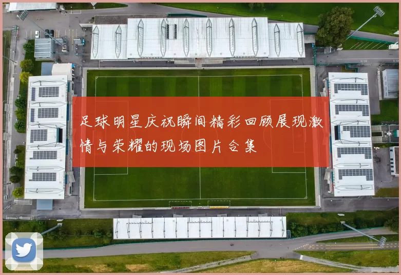 足球明星庆祝瞬间精彩回顾展现激情与荣耀的现场图片合集