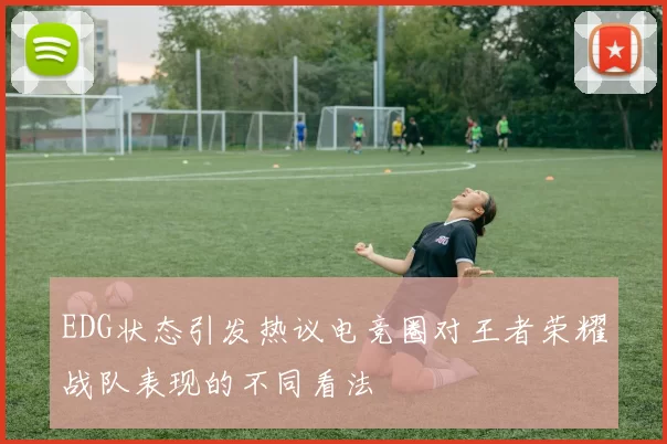 EDG状态引发热议电竞圈对王者荣耀战队表现的不同看法