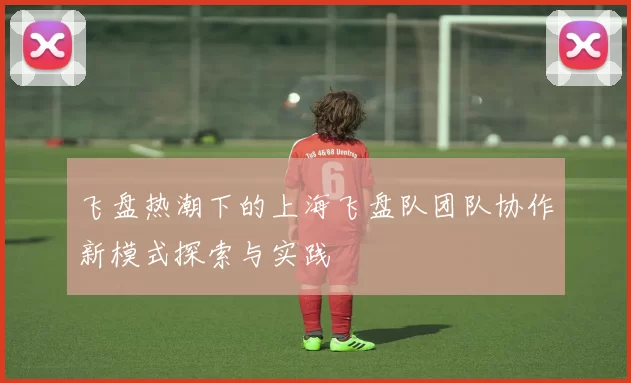 飞盘热潮下的上海飞盘队团队协作新模式探索与实践